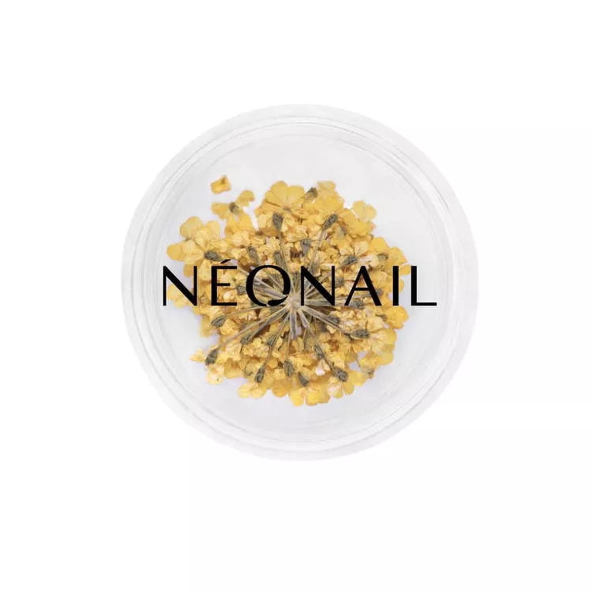 11088 Neonail Dried flowers Yellow 07 2g