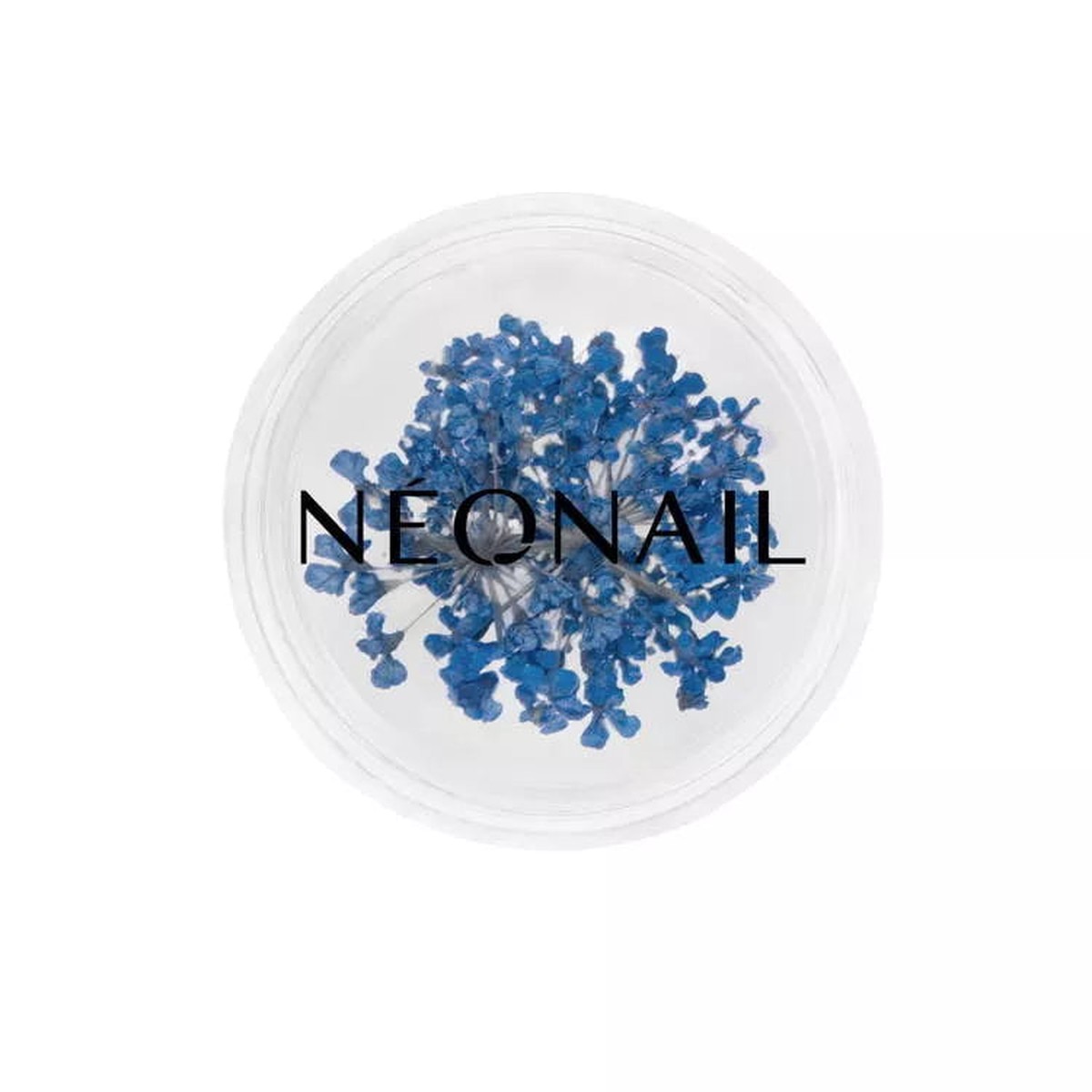 11085 Neonail Dried flowers Blue 04 2g