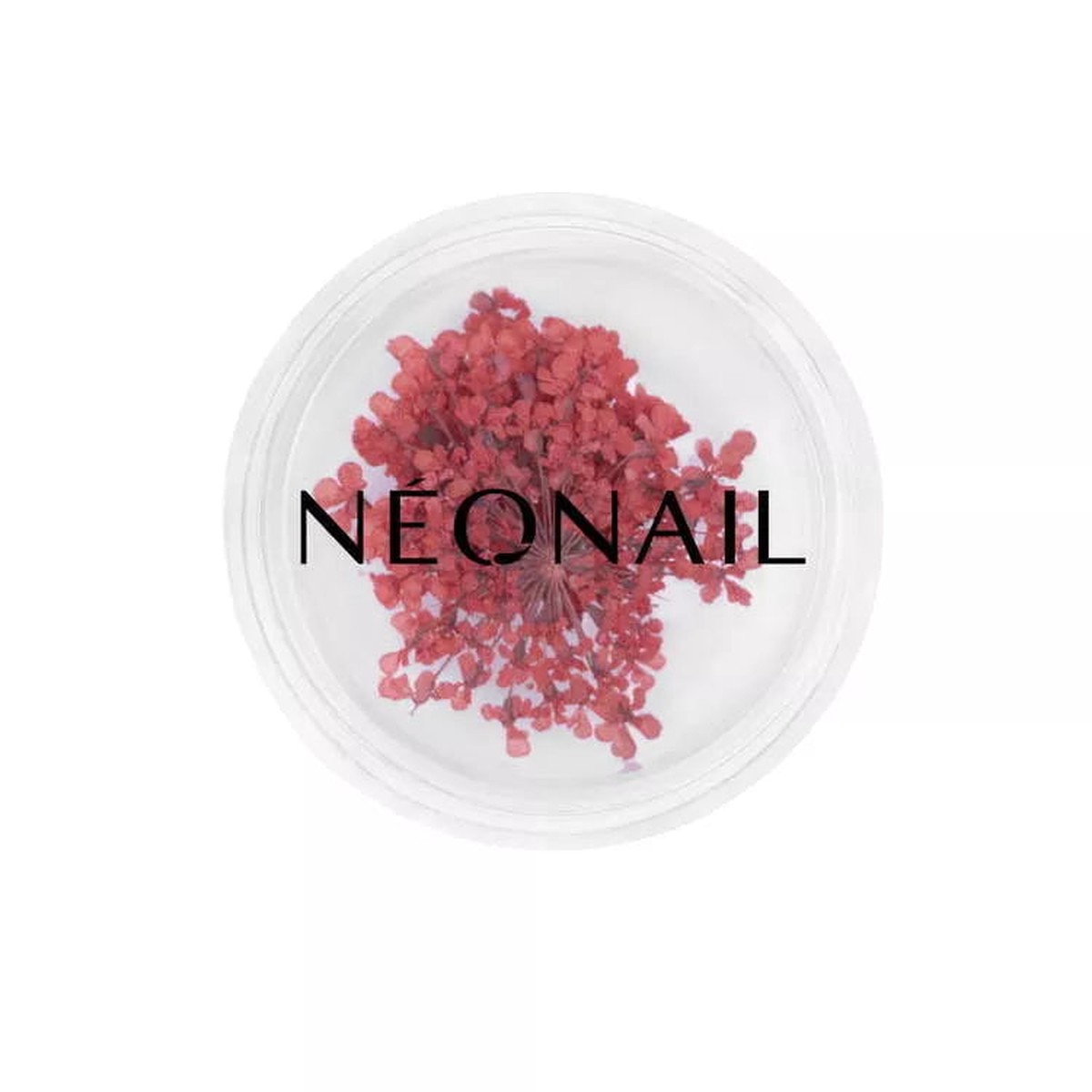 11089 Neonail Dried flowers Red 08 2g